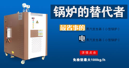 LSG生物质蒸汽发生器 食品工业中的高效能源解决方案