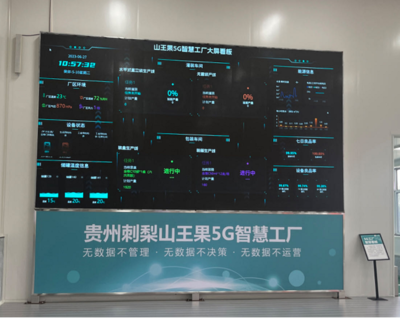 走进贵定山王果 开在大山里的数实融合之花